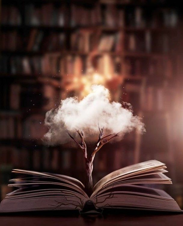 تحرير/ألاء محمد