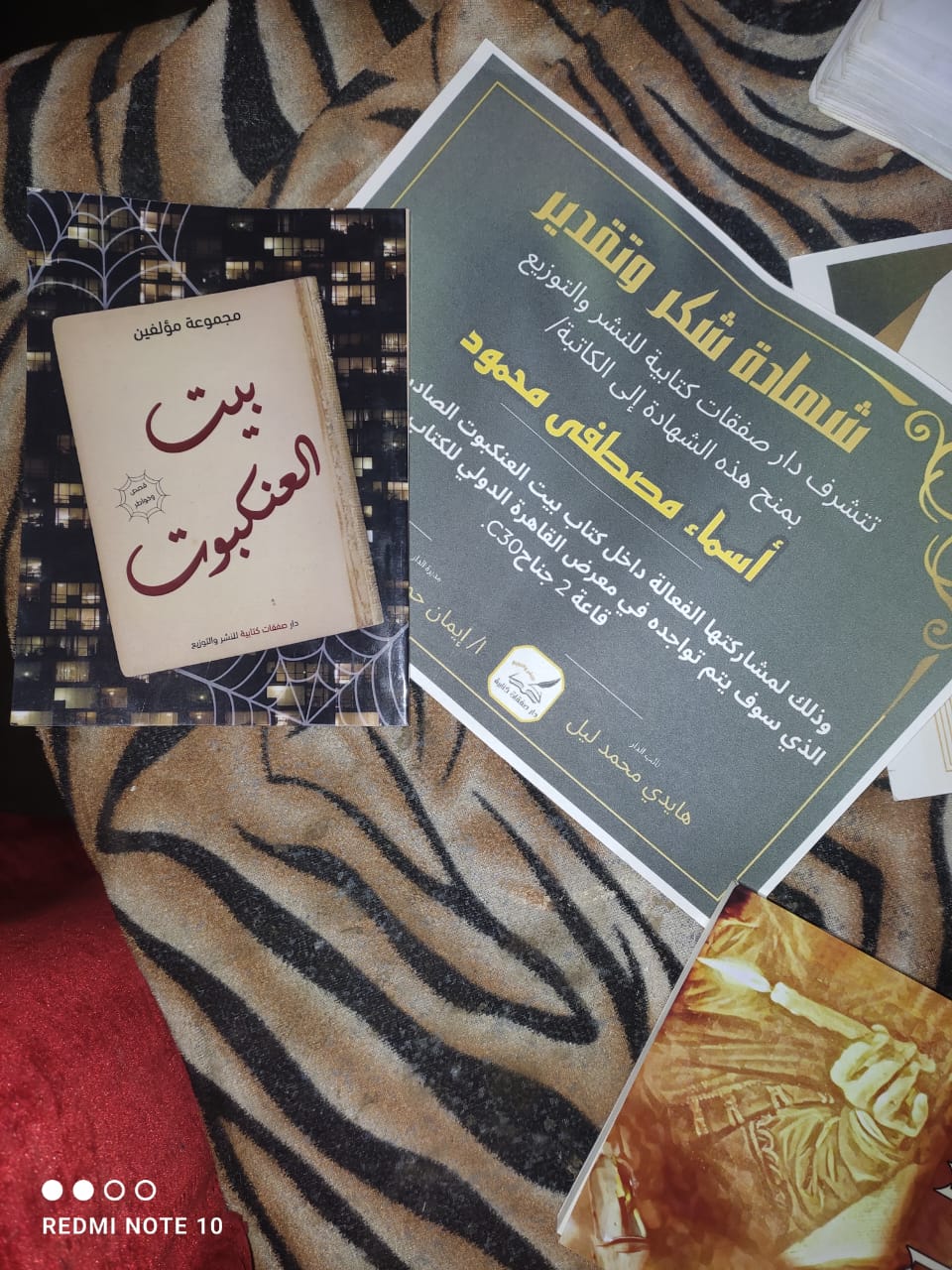 تحرير/ألاء محمد